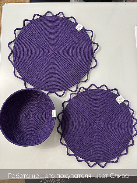 Слива 3 копия